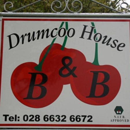 Drumcoo Guest House Enniskillen Exterior foto