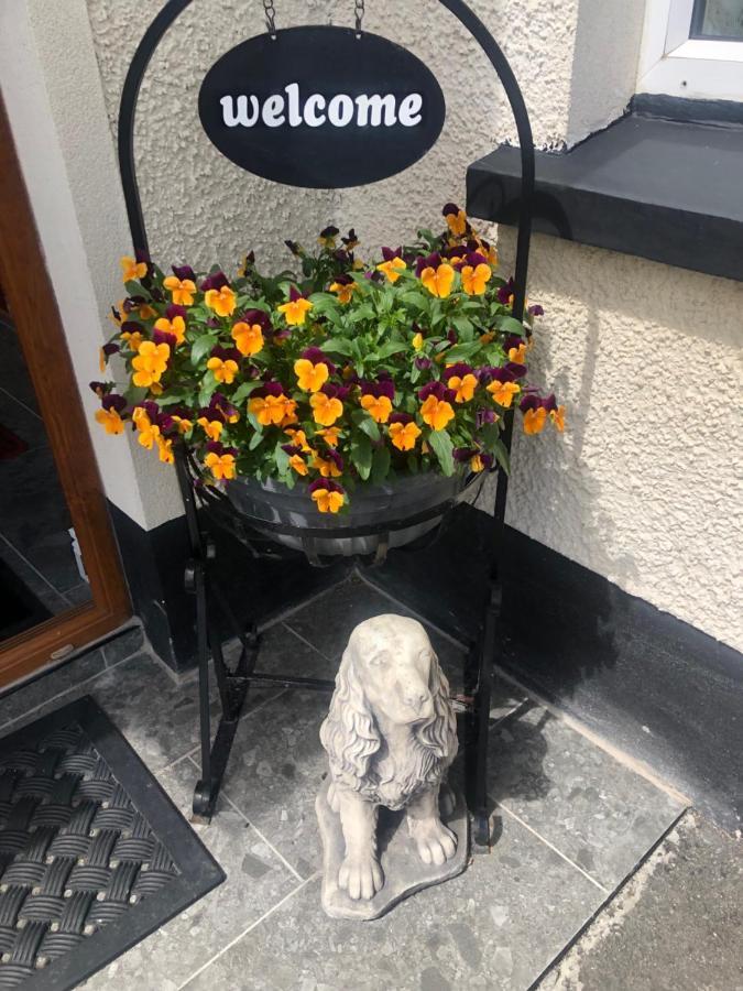 Drumcoo Guest House Enniskillen Exterior foto